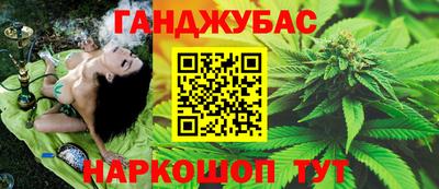 стафф Гай