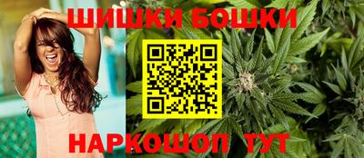 стафф Гай
