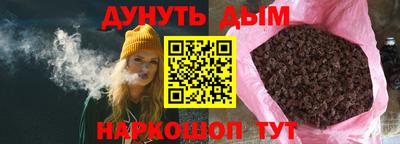 стафф Гай