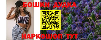 стафф Гай