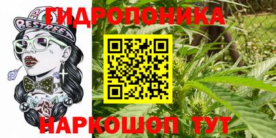 экстази Гатчина