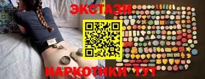 стафф Гай