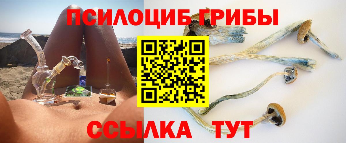 где найти наркотики  Псилоцибиновые грибы ЛСД  Вход с VPN  Миасс 